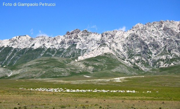 Giubileo delle fedi. La terra è di Dio